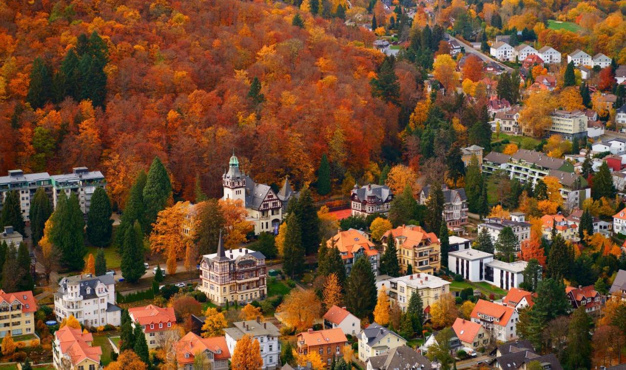 Ferienwohnung Bezaubernde Fewo Harzgipfel mit Dampfdusche Bad Harzburg Exterior foto